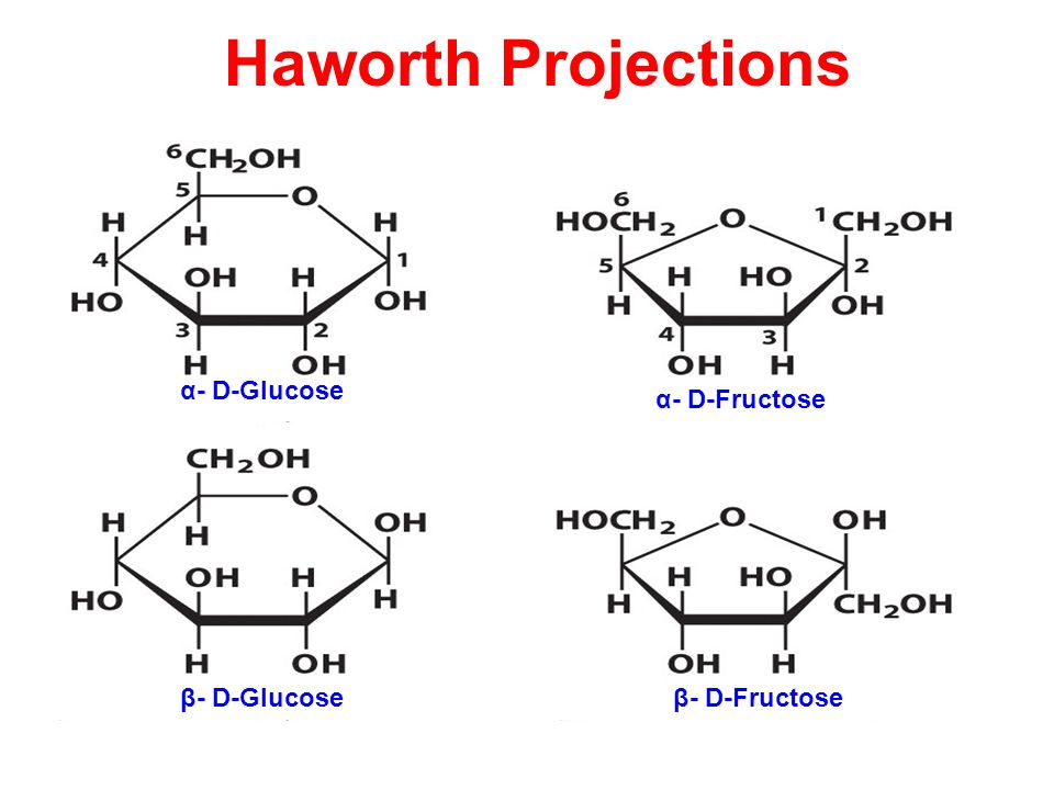 fehling b formula solution Polysaccharides video ppt and online Sugars download fehling b formula solution Polysaccharides video ppt and online Sugars download