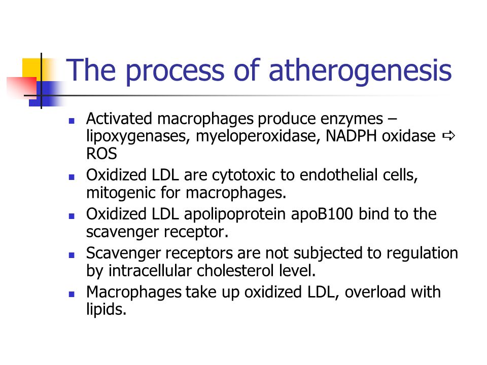 The process of atherogenesis