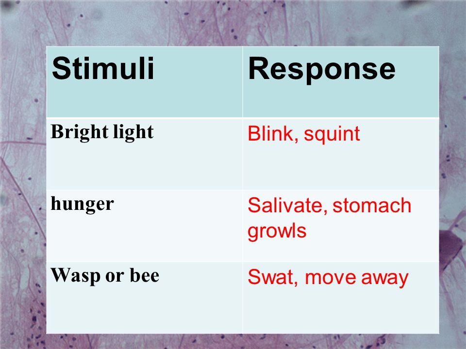 Stimuli Response Bright light Blink, squint hunger