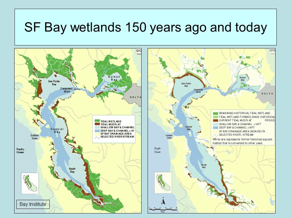 SF Bay wetlands 150 years ago and today