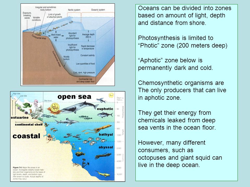 Oceans can be divided into zones