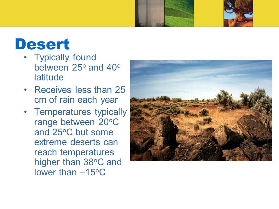 Desert Typically found between 25o and 40o latitude