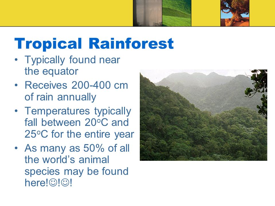 Tropical Rainforest Typically found near the equator