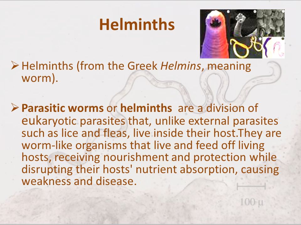 what does helminth mean in greek