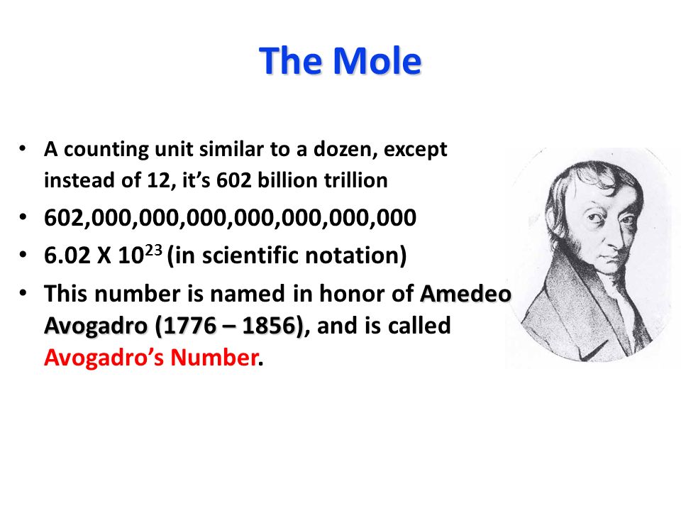 Avogadro Avogadro