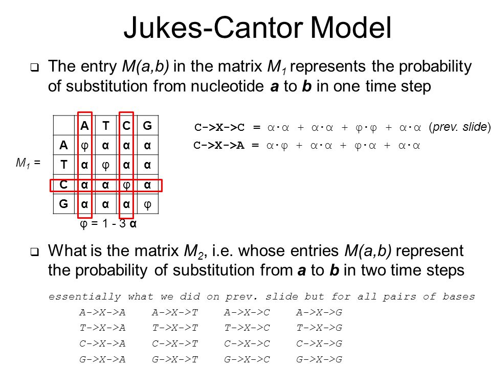 Substitution Numbers And Scoring Matrices Ppt Download
