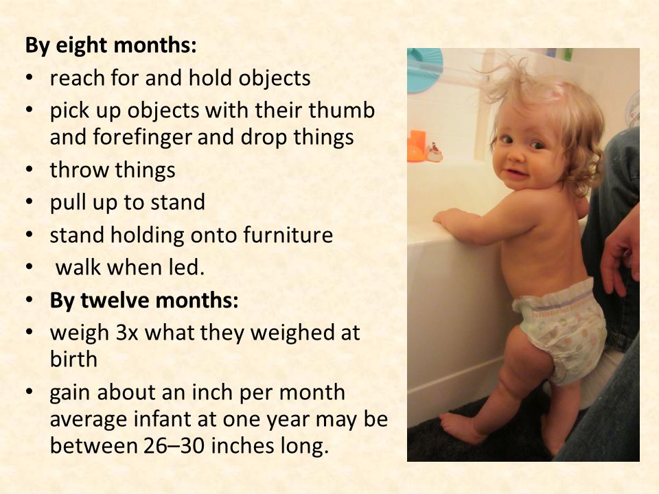 By eight months: reach for and hold objects. pick up objects with their thumb and forefinger and drop things.