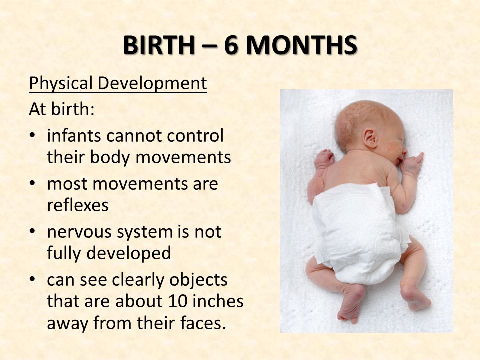 BIRTH – 6 MONTHS Physical Development At birth: