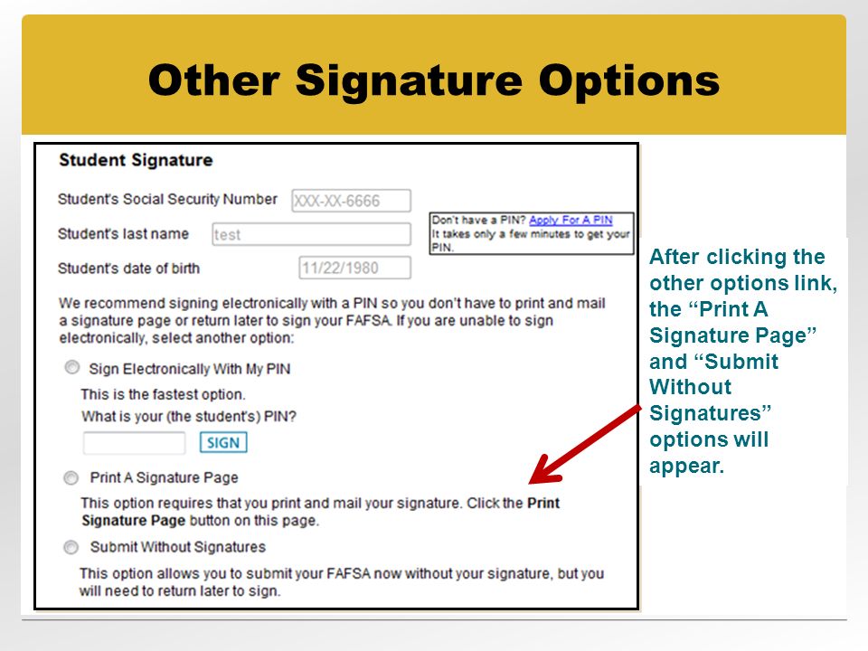 Other Signature Options