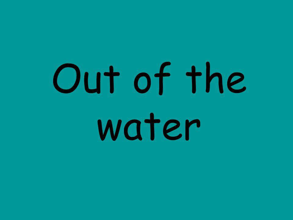 Out of the water