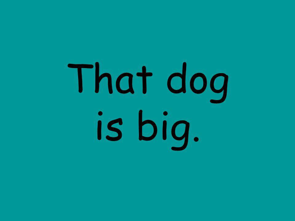 That dog is big.