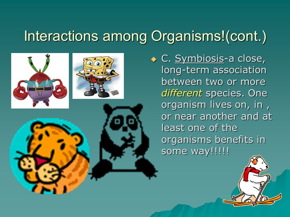 Interactions among Organisms!(cont.)