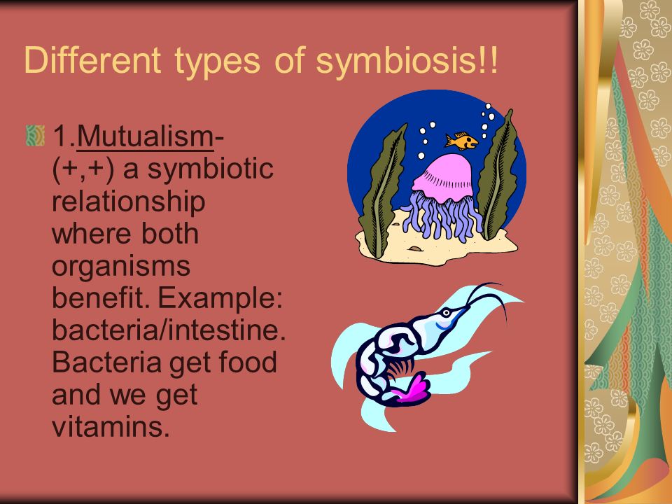 Different types of symbiosis!!
