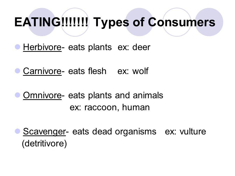 EATING!!!!!!! Types of Consumers