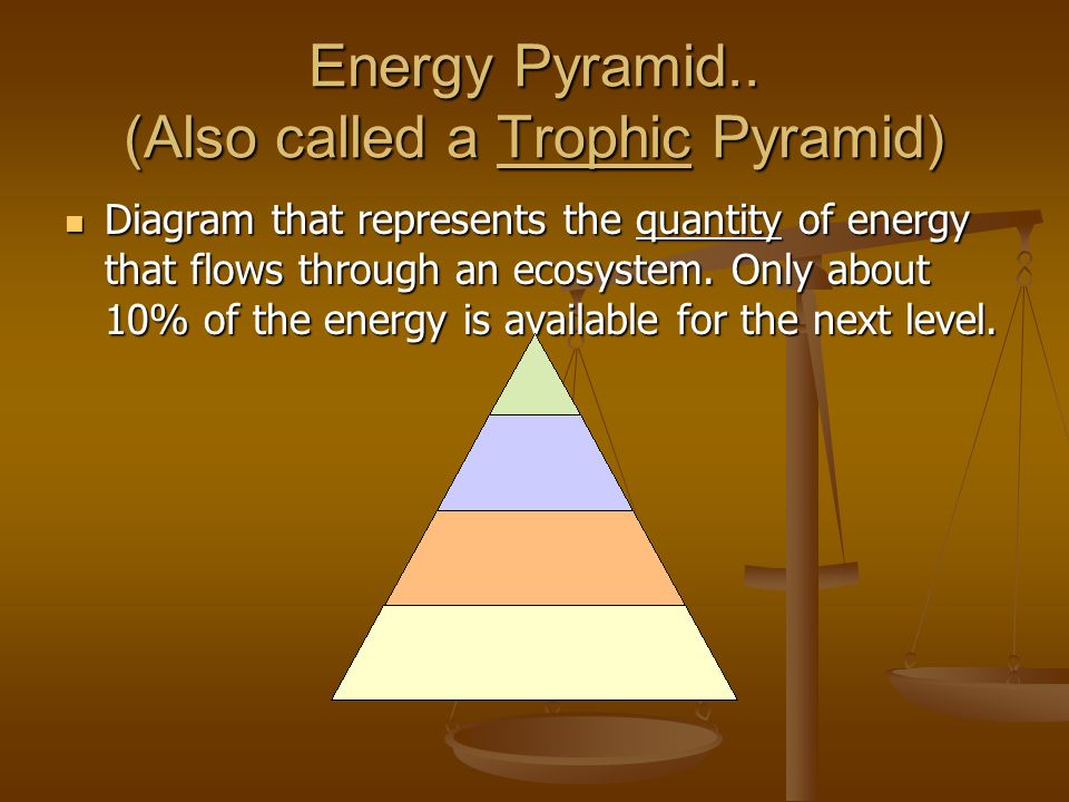 Energy Pyramid.. (Also called a Trophic Pyramid)