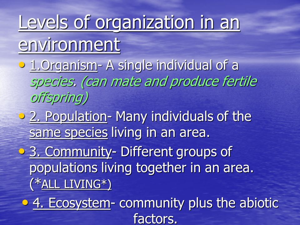 Levels of organization in an environment