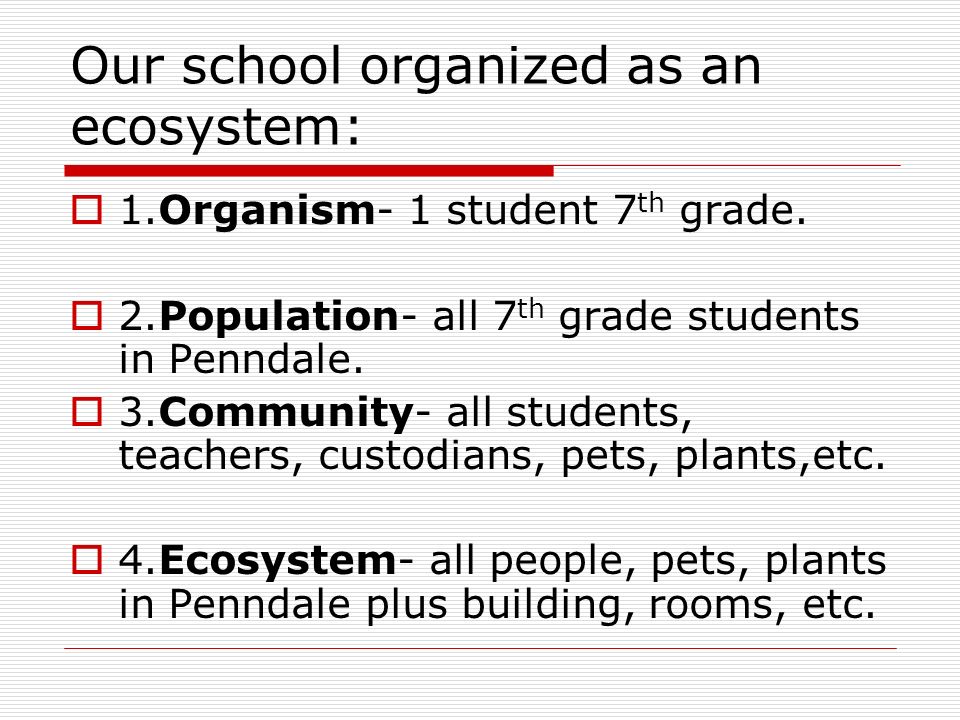 Our school organized as an ecosystem: