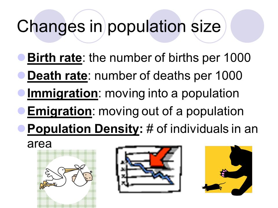Changes in population size