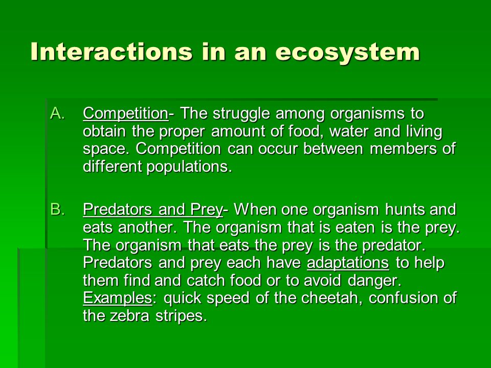Interactions in an ecosystem