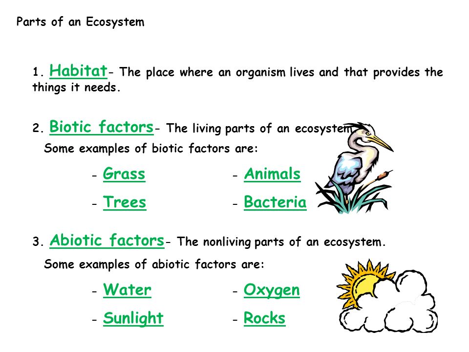Parts of an Ecosystem 1. Habitat- The place where an organism lives and that provides the things it needs.