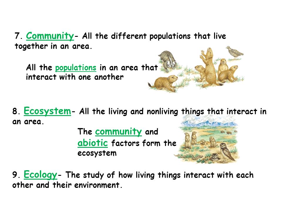abiotic factors form the ecosystem