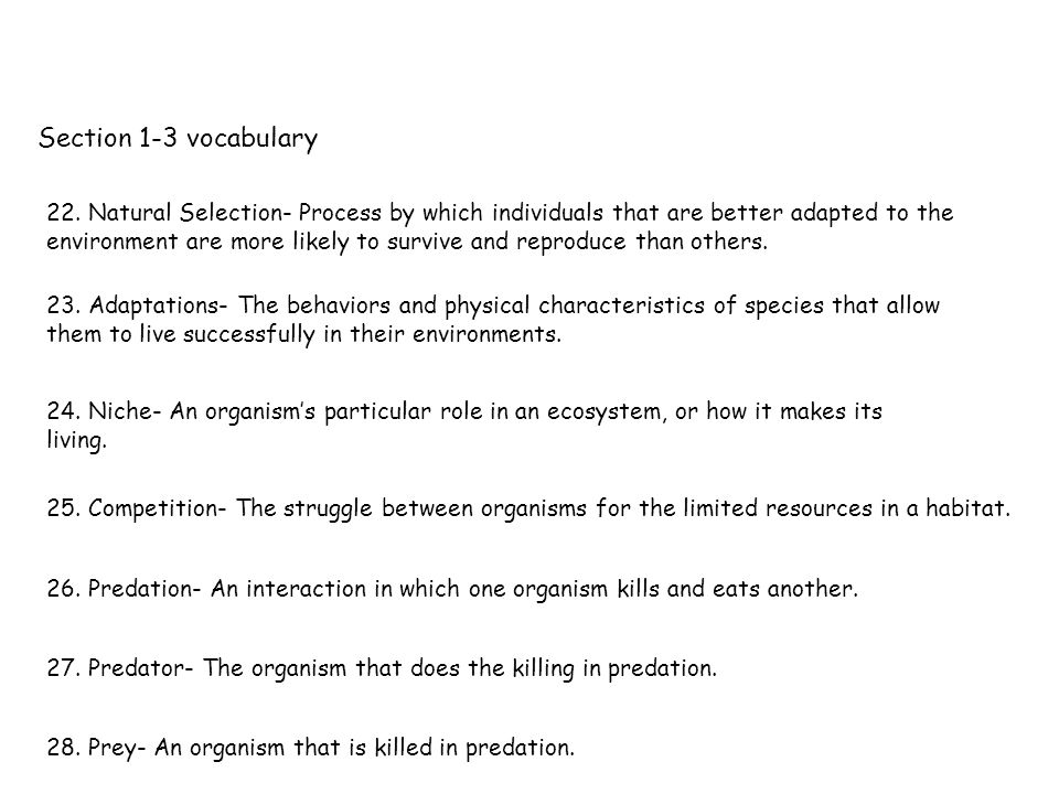Section 1-3 vocabulary