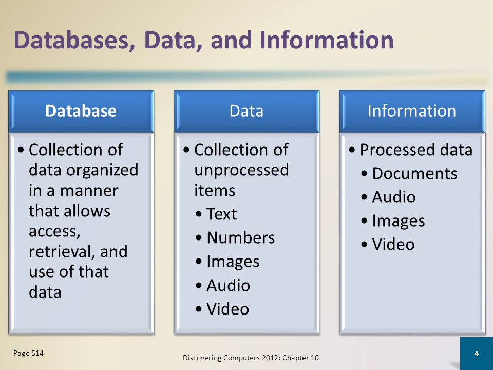 Objectives Overview Define the term, database, and explain how a database  interacts with data and information Define the term, data integrity, and  describe. - ppt video online download