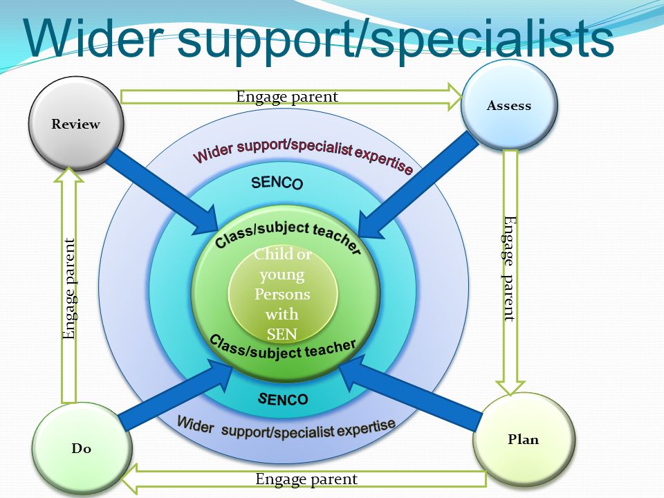 Wider support/specialists