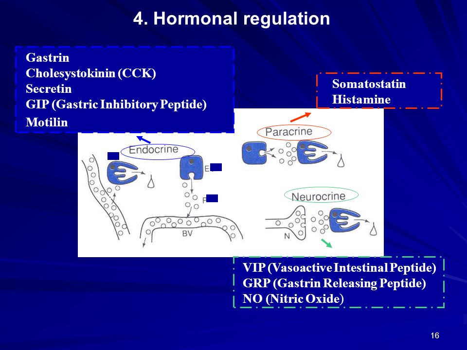 4. Hormonal regulation Gastrin Cholesystokinin (CCK) Secretin