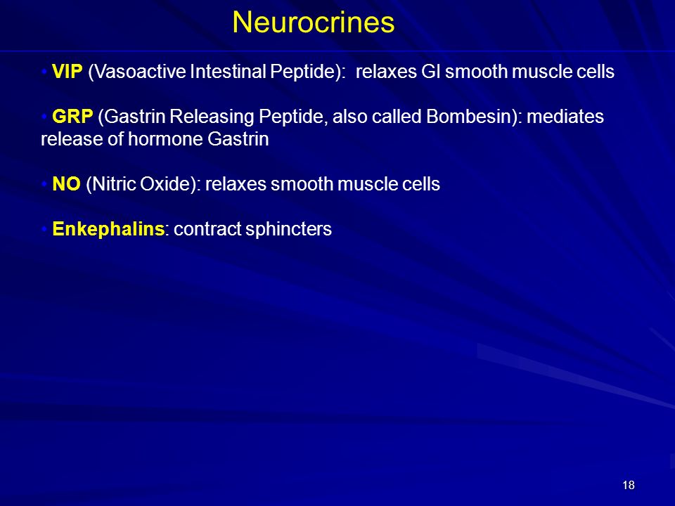 Neurocrines VIP (Vasoactive Intestinal Peptide): relaxes GI smooth muscle cells.