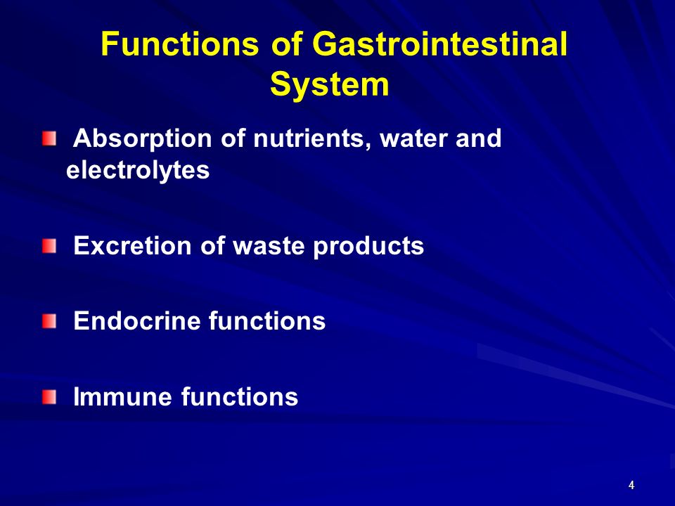 Functions of Gastrointestinal System
