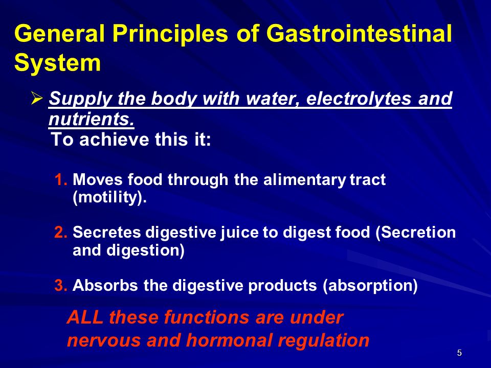 General Principles of Gastrointestinal System