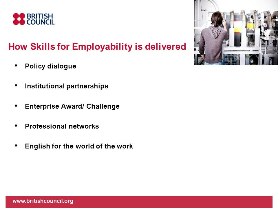 How Skills for Employability is delivered