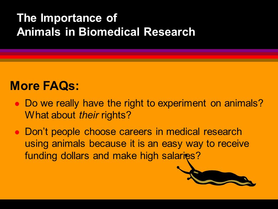 The Importance of Animals in Biomedical Research - ppt download