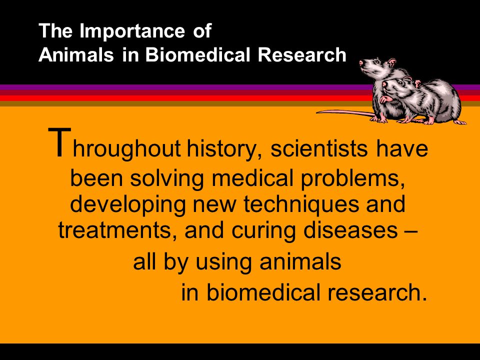 The Importance of Animals in Biomedical Research - ppt download