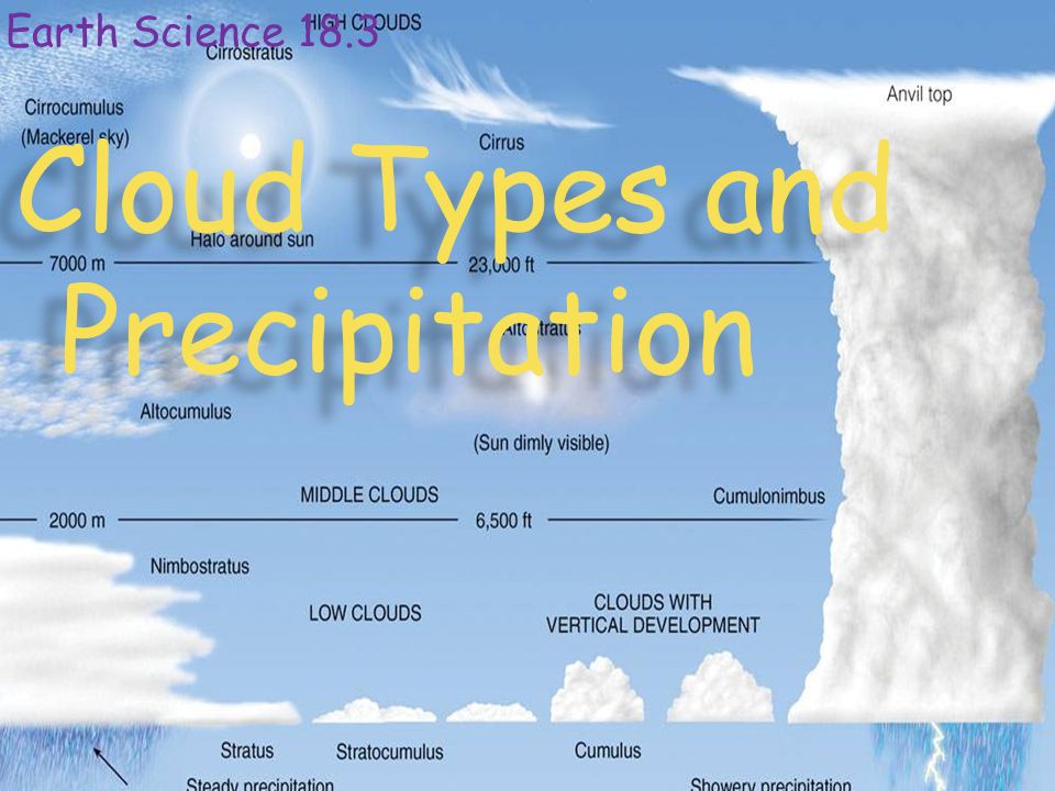 Cloud Types and Precipitation