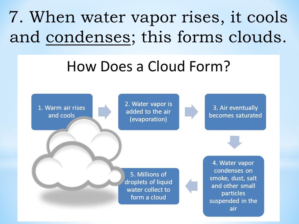 7. When water vapor rises, it cools and condenses; this forms clouds.