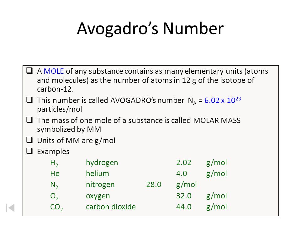 Avogadro Avogadro