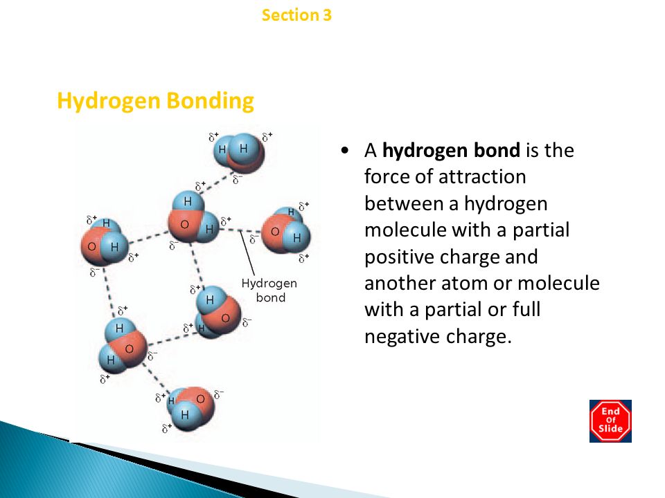 Chapter 2 Hydrogen Bonding