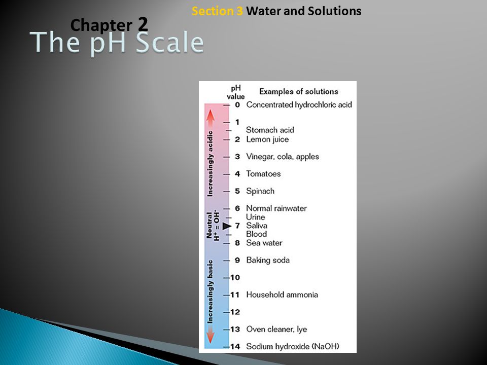 Section 3 Water and Solutions