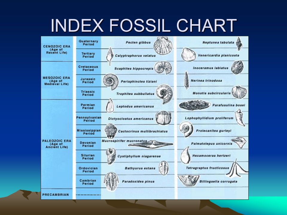 Index Fossil Chart