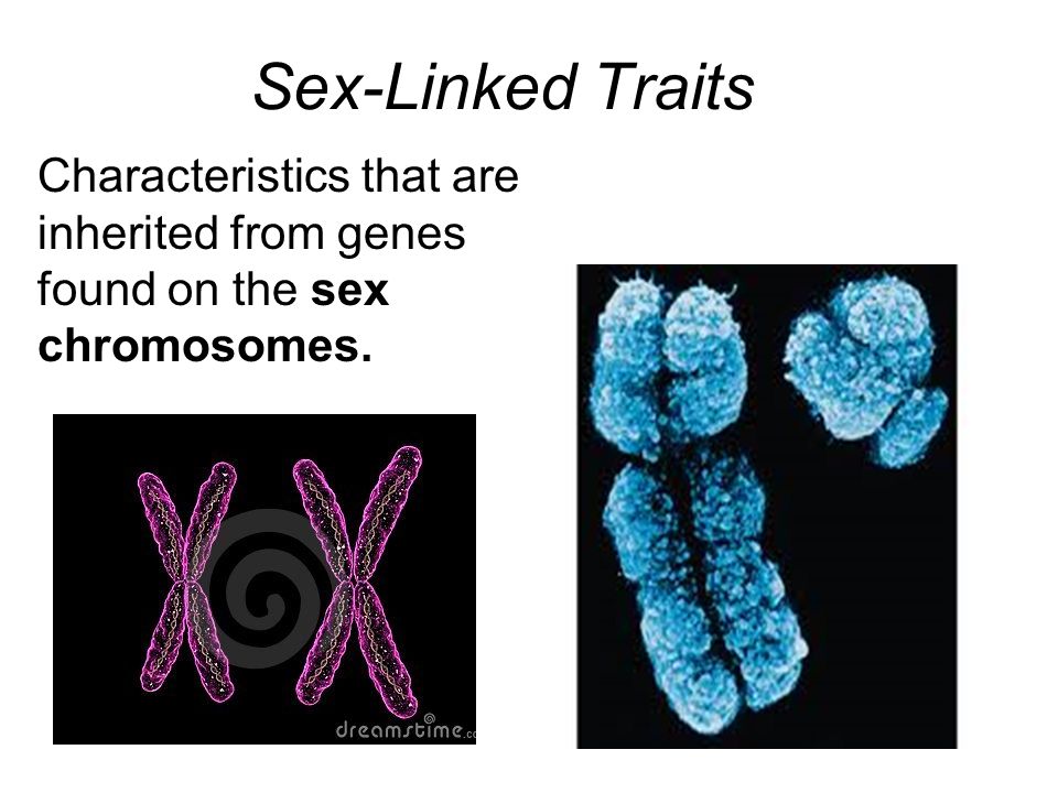 Sex-Linked Traits Characteristics that are inherited from genes found on the sex chromosomes.
