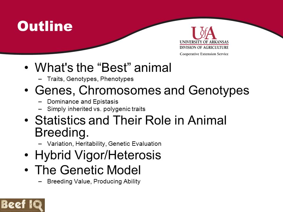 Breeding and Genetics ppt video online download