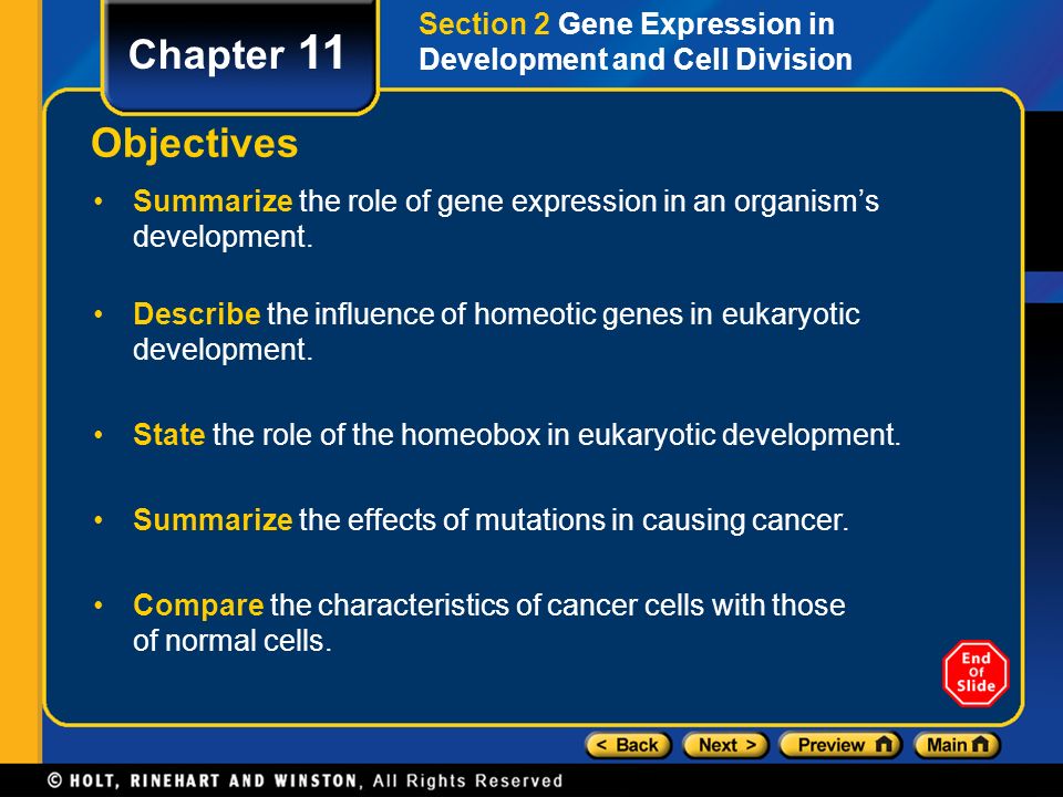 Section 2 Gene Expression in Development and Cell Division