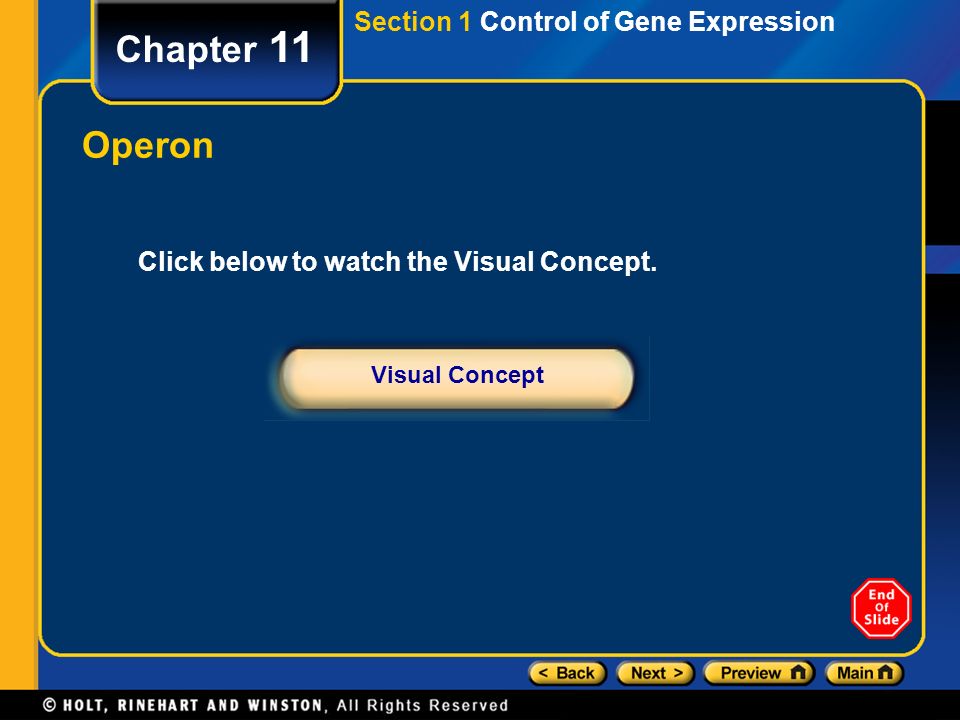 Chapter 11 Operon Section 1 Control of Gene Expression