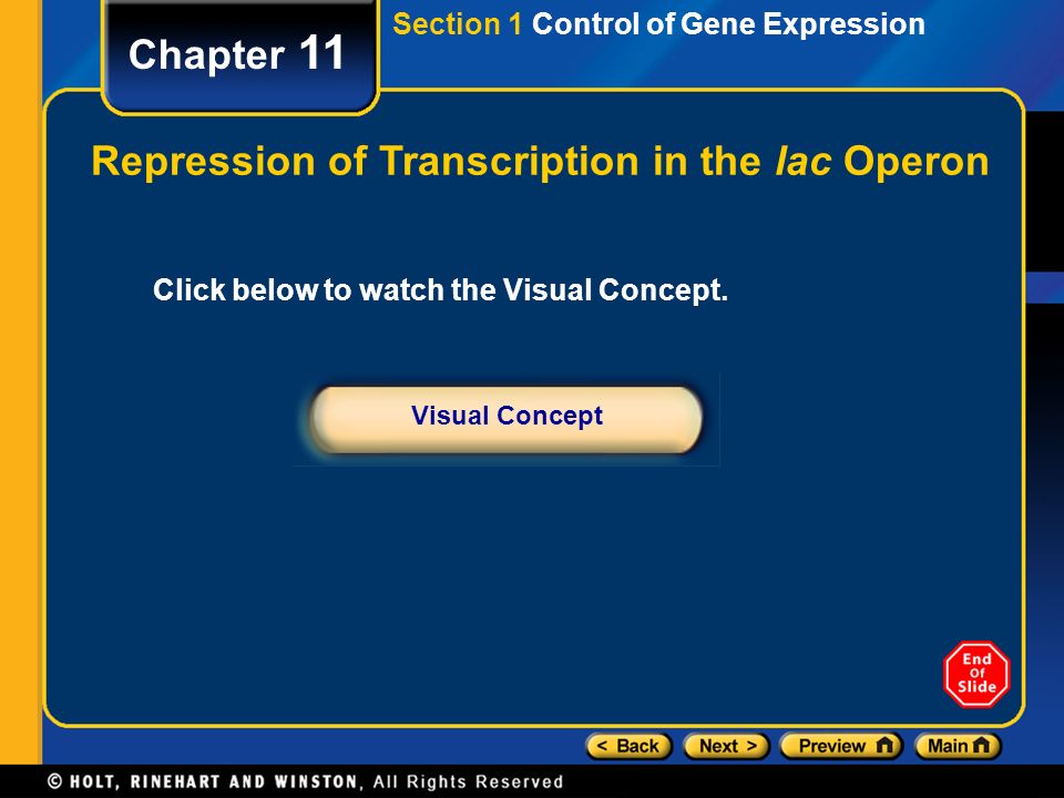 Repression of Transcription in the lac Operon