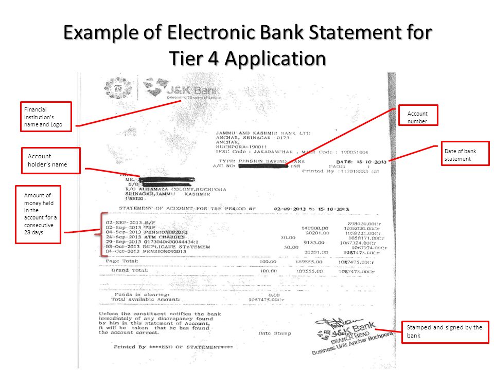 Example of Electronic Bank Statement for Tier 4 Application
