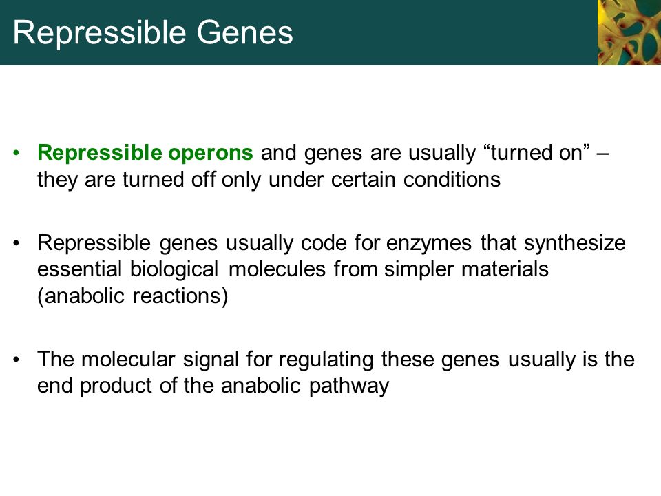 repressible genes