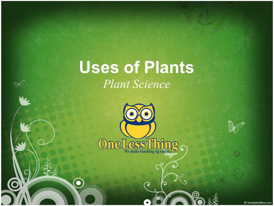 Uses of Plants Plant Science