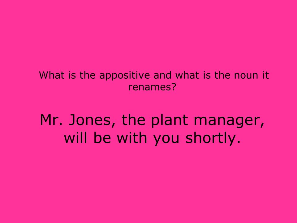 What is the appositive and what is the noun it renames. Mr